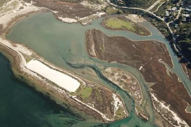Los humedales son algunos de los ecosistemas más ricos de la Tierra