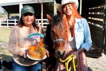 Potranca maltratada en Puebla encuentra un final feliz después de ser rescatada