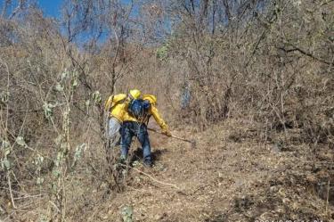 Incendio controlado en Michoacán