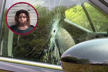 Taylon Nichelle Celestine realizó el tiroteo en una interestatal en Florida. (Especial)