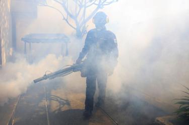 La propagación de mosquitos ya se empieza a extender a Europa. (Reuters)