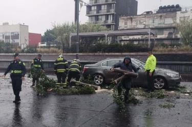 Lluvias dejan encharcamientos, árboles caídos, goteras en Metro, CDMX.