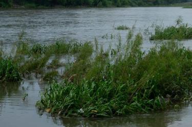 Arroyo ubicado en el municipio de Tepetitlán Hidalgo