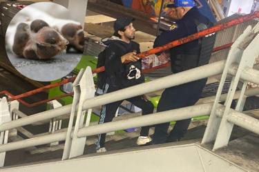 El video de los policías forcejeando con un joven causó indignación. Foto: X @zerchzro/ Pexels