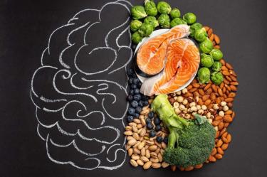 Un dibujo de un cerebro con la mitad de comida