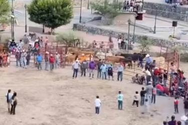 Arman carrera de gatos y les ponen cohetes en la cola
