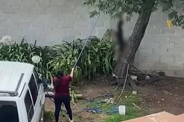 Momento en que mujer cuelga a un perrito