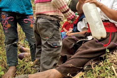 En Chiapas, el año pasado se registró un masivo desplazamiento en la zona fronteriza con Guatemala. Foto: Especial
