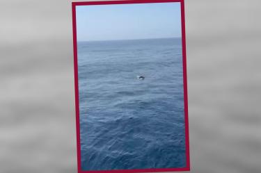 Captura del hombre siendo rescatado por un barco en el estrecho de Gibraltar. (AFP)