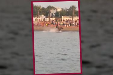 El caballo descocado corría en una carreras de la playa de Sanlúcar. (Especial)