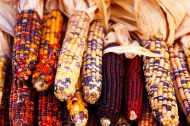 Qué se celebra el 29 de septiembre | Canva