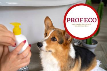 Veterinarios advierten que los shampoos humanos pueden irritar la piel canina.