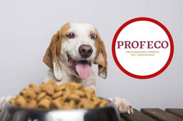 Veterinarios recomiendan revisar siempre el primer ingrediente listado en el empaque.
