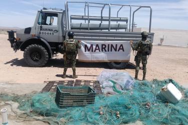 La acción se desarrolló al sur de Puertos Peñasco en inmediaciones del “Desemboque”, donde se localizaron y aseguraron diversas redes de enmalle.