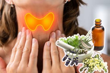 Plantas medicinales para la tiroides
