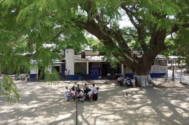 uando el calor es insoportable, las maestras los sacan a tomar clase bajo un árbol.