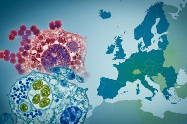 La sifilis y la gonorrea incrementan en Europa