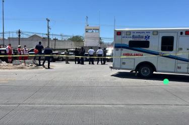 Motin cerezo ciudad obregon