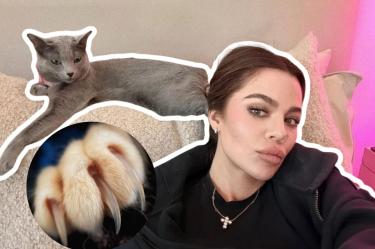 Khloé Kardashian admite que amputó las garras de sus gatos; abre duro debate sobre el declawing