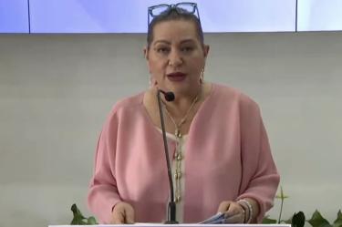 Guadalupe Taddei apoyó discutir la Comisión de Integridad para candidaturas, pero aclaró que el INE no tiene herramientas para juzgar o bajar perfiles.