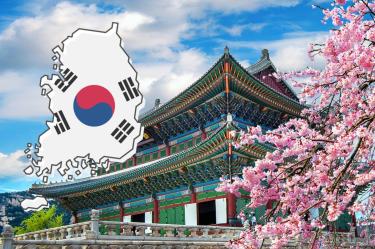Qué lugares visitar en Corea del Sur: Tips para viajar como local