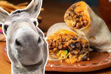 ¿Por qué se llama ‘burrito’?