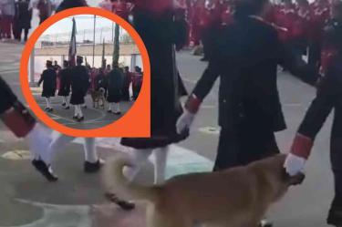 Perrito se une a honores a la bandera en primaria de Tecámac