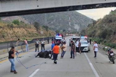 Las maniobras para sofocar el fuego y retirar la unidad siniestrada mantuvieron bloqueada la autopista durante varias horas.