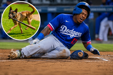 El prometedor jardinero de los Dodgers, Kendall George, sufrió una lesión en el tendón rotuliano.