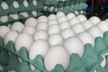 El precio del huevo, uno de los alimentos más sensibles y con mayor peso en la canasta básica mexicana, registra un desplome tan abrupto como inusual a nivel nacional.
