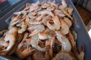 Camarones, en una caja para su venta en un mercado de México.