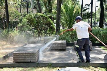 La demarcación indicó que trabaja en el retiro de árboles en riesgo de caer