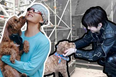 Perro de apoyo emocional de BTS