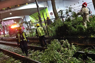 Debido a este incidente se suspendió el paso de trenes en el tramo que va de Estadio Azteca a Xochimilco.