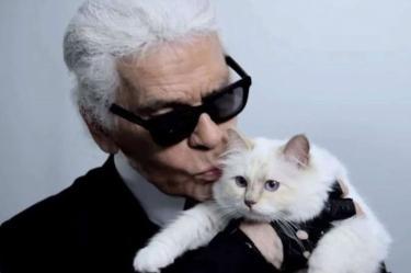 Choupette, la famosa gata de Karl Lagerfeld, continúa sin recibir la fortuna que el diseñador prometió dejarle.