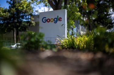 La división Verily de Alphabet solicitó autorización para liberar 32 millones de mosquitos macho infectados con Wolbachia en Estados Unidos.