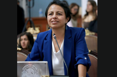 PAN pedirá un informe