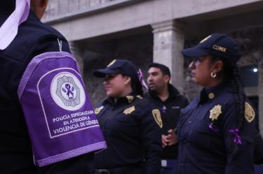 El partido destacó la importancia de fortalecer las instituciones encargadas de garantizar la seguridad y el acceso a la justicia para las mujeres.