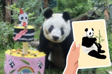 Xin Xin cumple 36 años: conoce cómo enviar tu carta al panda gigante de Chapultepec