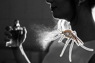 Olores que no debes usar en tu piel si no quieres que te piquen los mosquitos
