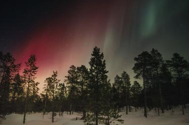 Auroras boreales en CDMX: las veces que se vio este raro fenómeno lumínico