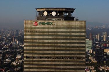 Acuerdo entre Pemex y Petrobras pone en riesgo biodiversidad del Golfo de México