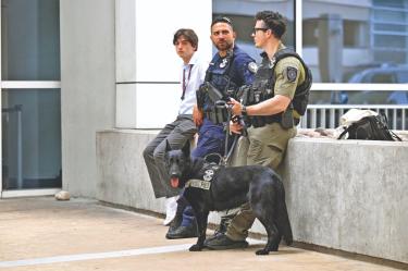 Binomio canino de EU que colabora para la seguridad del Mundial.
