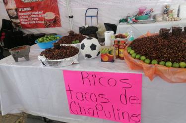 La feria permitirá impulsar espacios que fortalezcan la economía local y el talento de los productores gastronómicos