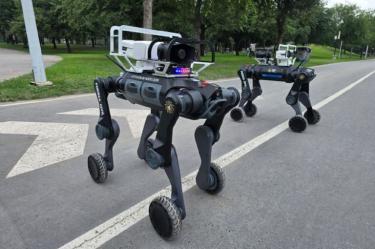 Los perros robot cuentan con un avanzado sistema de videograbación y visión nocturna, crucial para operaciones en diversas condiciones de iluminación.