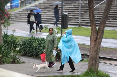 Paseo de la Reforma y Anillo Periférico concentraron las mayores emergencias por la fuerte precipitación acompañada de rachas de vientos de más de 50 kilómetros por hora.