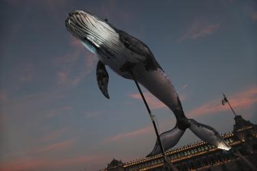 La exposición "Desde el umbral" estará abierta al público desde el sábado 13 de junio hasta el 11 de diciembre.