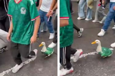 Pato viral del Mundial: sorprendió a fans en el festejo en el Ángel