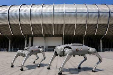 Los perros robot forman parte de una nueva estrategia tecnológica de seguridad que será utilizada en los alrededores del Estadio Monterrey durante la Copa del Mundo 2026.