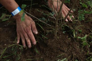 CIUDAD DE MÉXICO, 10JULIO2025.- Un voluntario coloca tierra en un árbol plantado durante el inicio del programa de reforestación "Huizachtépetl: raíces para el futuro”, con 2 mil árboles y plantas de especies nativas que se pondrán como parte de esta jornada en el Cerro de la Estrella. FOTO: GRACIELA LÓPEZ/CUARTOSCURO.COM
